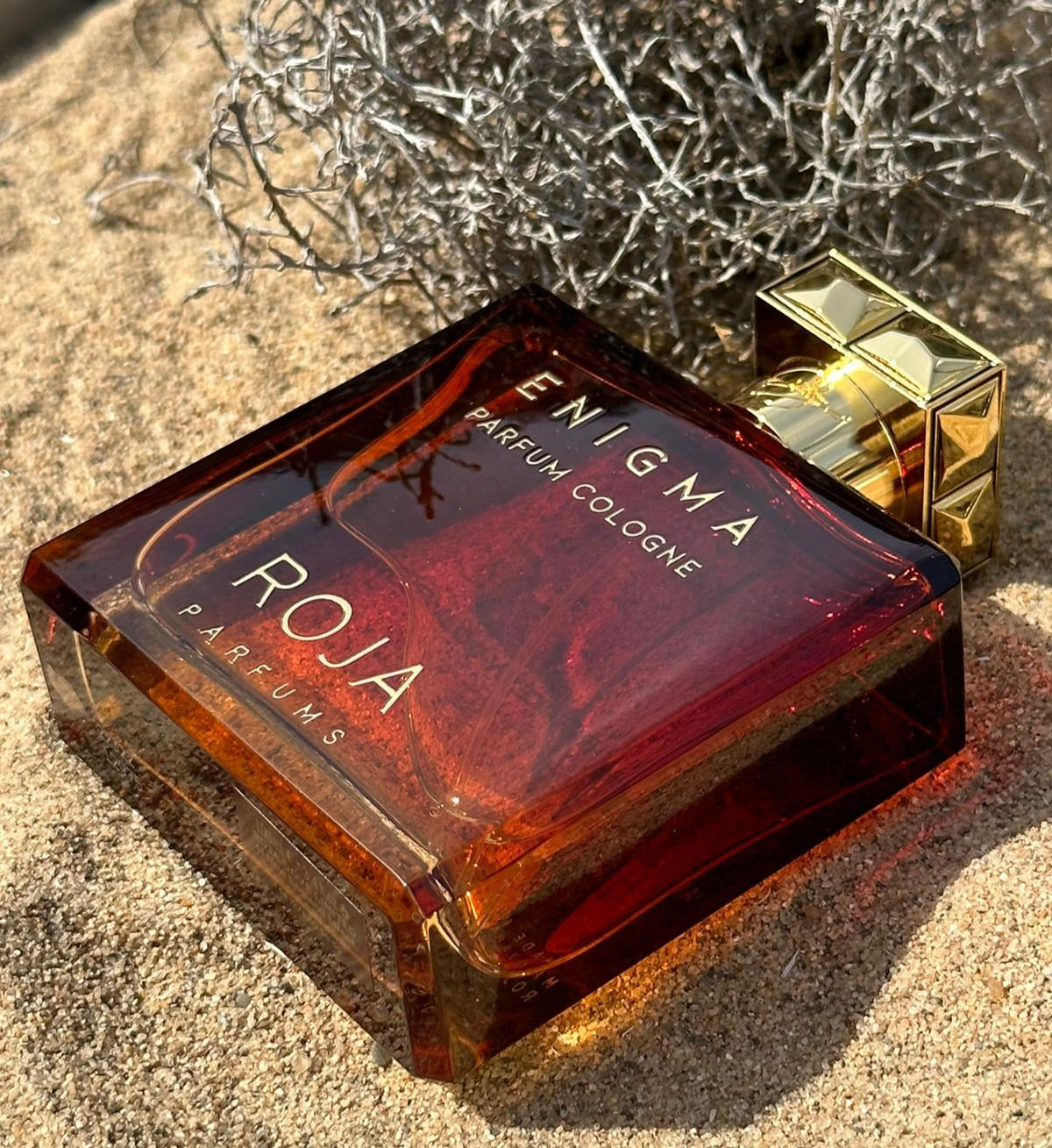 Roja Enigma Parfum Cologne pour Homme